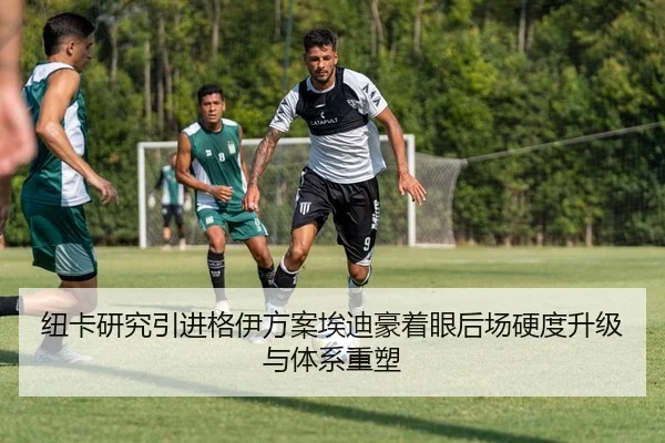 纽卡研究引进格伊方案埃迪豪着眼后场硬度升级与体系重塑